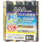 AAA alkaline battery
